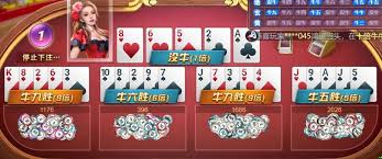 KAIYUN APP - 开云(中国)官方网站